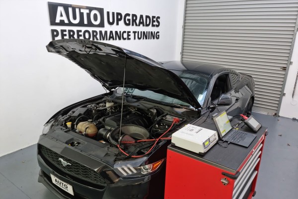 Ford Performance Tuning Auckland Auto Upgrades